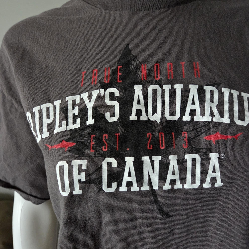 Ripley's Aquarium Graphic Short Sleeve T-Shirt | Large Gray - Picture 2 of 4